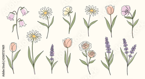 Collection of hand drawn flowers and plants including daisies, roses, and lavender in soft pastel color tones.