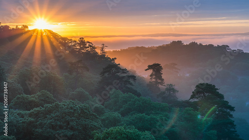 Golden sunrise over misty mountain hills and lush green forest valley with mountain sunlight landscape beautiful peaceful outdoors atmosphere wilderness