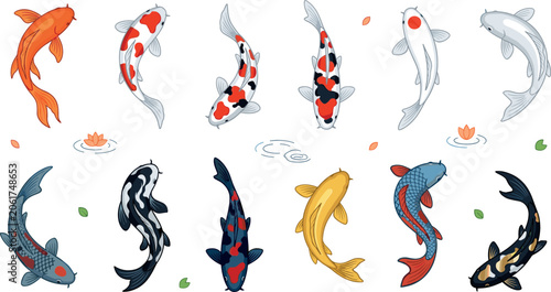 Wall Mural Collection of colorful koi fish vector illustrations with traditional japanese n