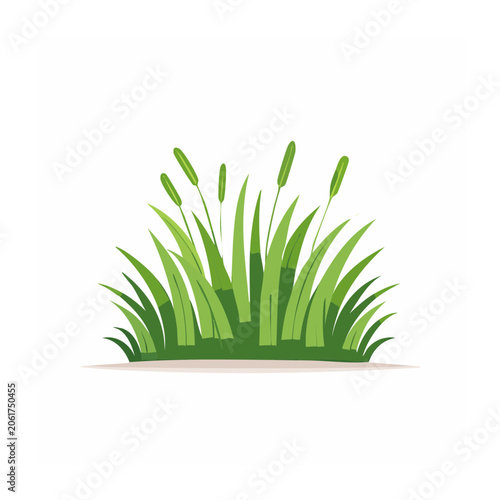 Flat design green grass top view