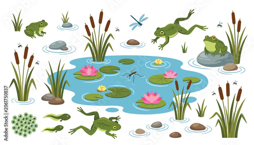 Foto Pond life and frog ecosystem vector set