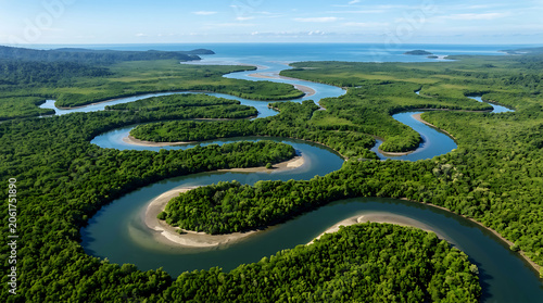Stunning Aerial View of Winding River Through Lush Green Mangrove Forest