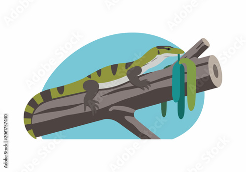 Colorful Lizard on Tree Branch with Green Moss