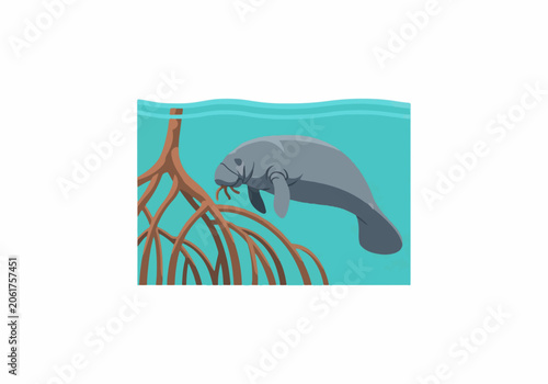 Deep-sea expeditions exploring aquatic life with marine creature and coral