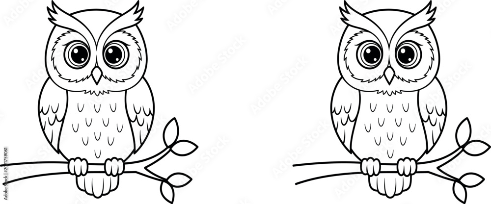 Fototapeta premium A black and white illustration of two cute cartoon owls perched on a branch with leaves