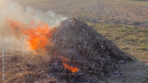 Pile of dry autumn leaves burns with bright flames and smoke on green grass.
