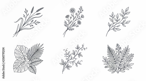 Hand-drawn botanical elements, floral illustrations, elegant line art for design