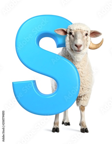 A sheep standing behind a large blue letter S