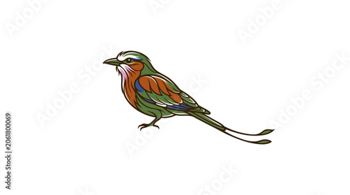 Schilderij op canvas Colorful Bird with Long Tail Feathers.