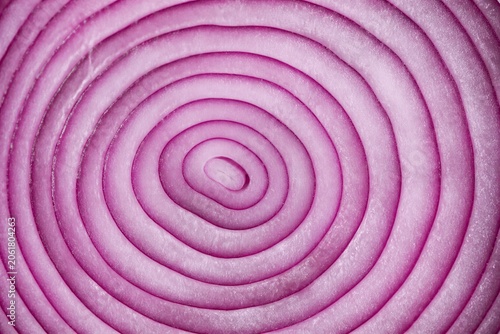 Red onion sliced revealing concentric rings in closeup