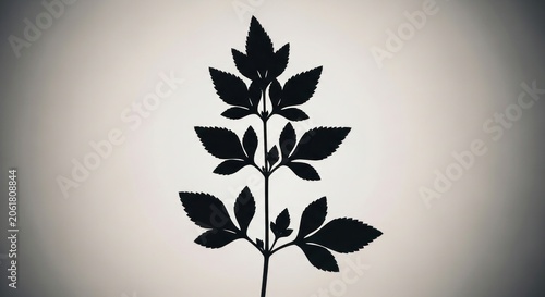 Silhouette of leafy plant stem against light