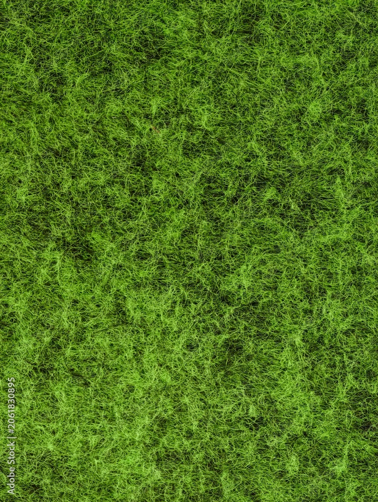 Fototapeta premium Close-up of lush green grass texture