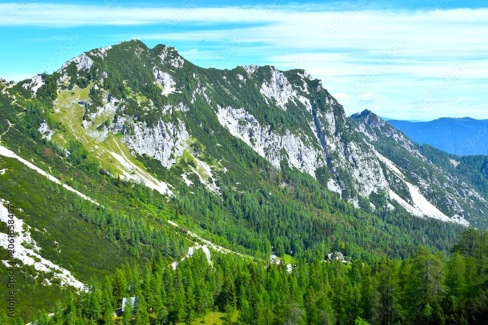 Fototapeta premium Forest covered alpine valley at Vršič in Julian alps, Gorenjska, Slovenia