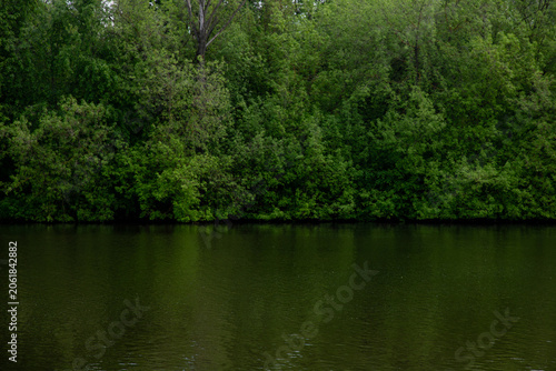 reflection of trees in river