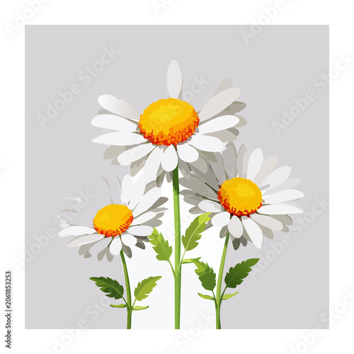 Close-up of fresh gerbera daisies in white vase