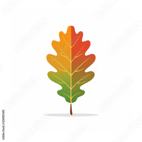 Red and yellow tulip vector illustration
