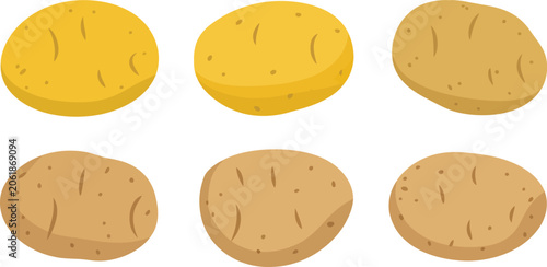 Fotografie Raw whole yellow and brown potatoes vector illustrations set isolated on a white background