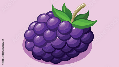 A single purple blackberry fruit displayed on a soft pink background