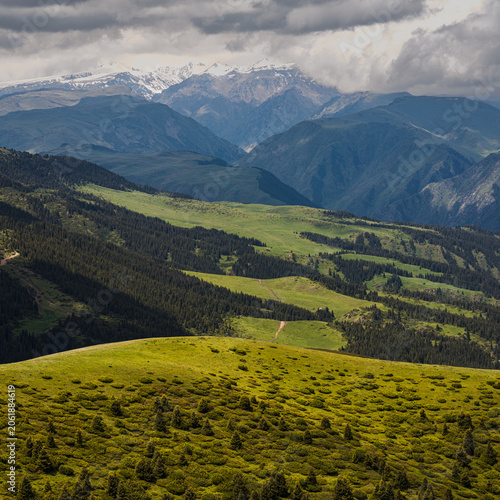 Landscape Kazachstan, ASSI, mountain, trees, green, clubs, trevel, 