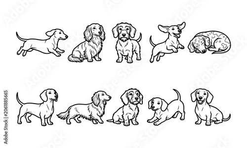 Dachshund Dog Line Art Pack Unique Designs Collection Vector Illustration