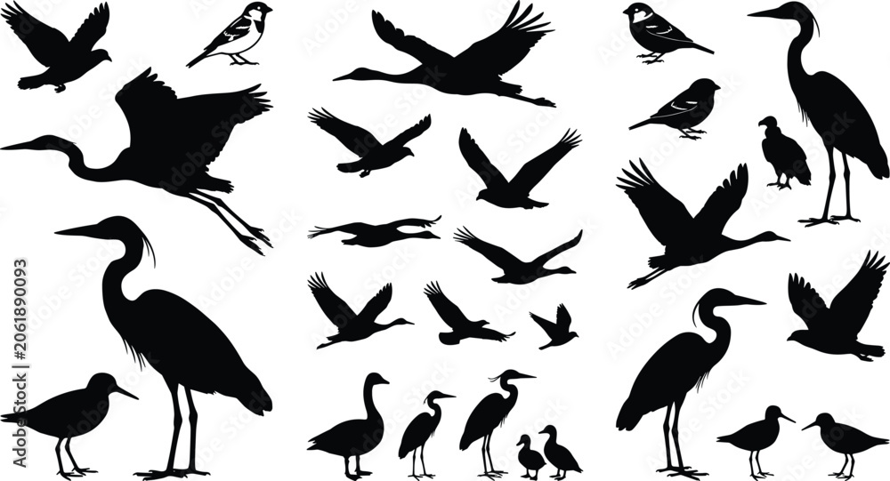 Obraz premium Collection of Flying and Standing Bird Silhouettes Vector Elements Isolated on White Background
