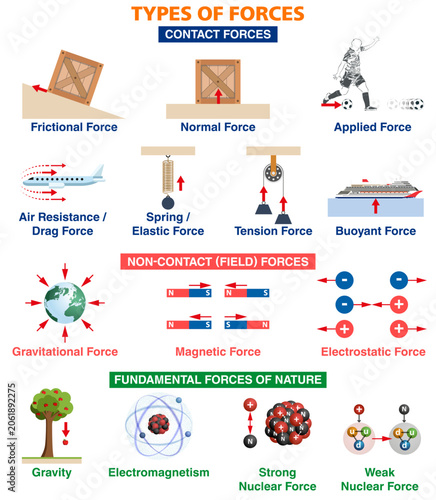 Types of forces in physics infographic poster. Contact, non-contact and fundamental forces of nature educational chart. Vector illustration.