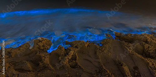 Bio luminescent waves on the beach at night.