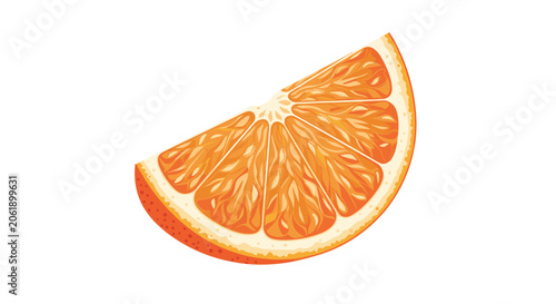 Close up illustration of a fresh orange wedge showing detailed segments and juicy texture against a plain white background for food design.