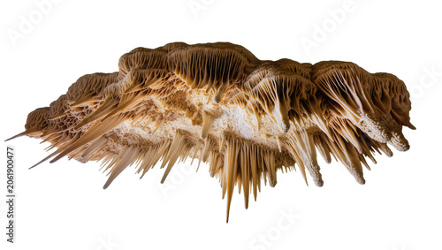 Obraz na plátně Brown stalactite formation with delicate thin and sharp mineral deposits, isolat