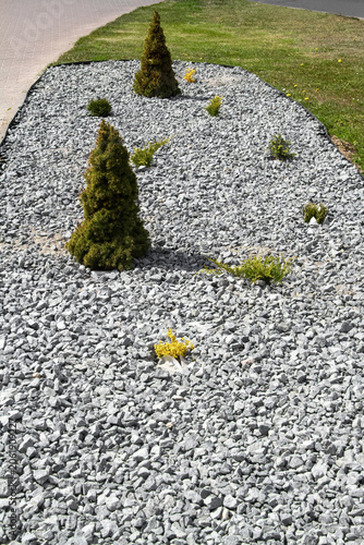 Decorative gravel landscape with small conifer trees and shrubs