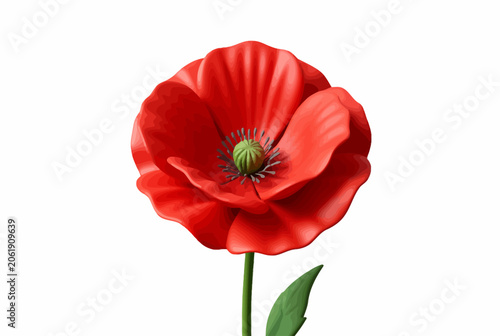 Vibrant red poppy flower with green stem.