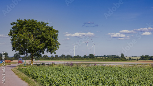 Rural agricultural landscape featuring cultivated fields, a solitary tree and modern wind turbines on the horizon. Scenic countryside view under a clear blue sky, illustrating the connection between s