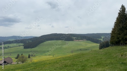 Wide view of a blooming meadow covered with yellow wildflowers in a peaceful countryside landscape with green fields and gentle hills.