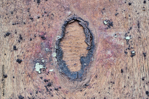 Macro view of ruined wooden panel with rich fiber details and prominent long split lines. Dark grungy background of weathered timber sheet damaged by severe weather conditions and natural aging