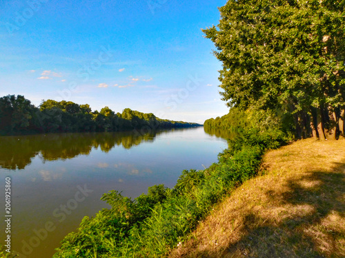 Bild auf Leinwand Tisza River peaceful summer landscape with green trees and blue sky reflection,