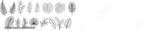 Set of hand drawn botanical sketch elements and floral tree icons with botanical illustration handdrawn monochrome collection woodland