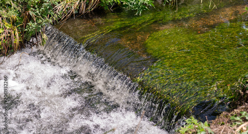 Photography Long aquatic vegetation growing over a low weir in a freshwater stream