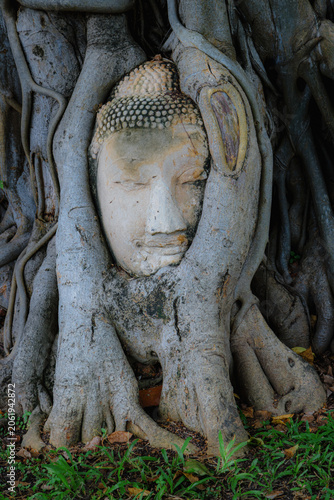 Bild auf Leinwand Ayutthaya, Thailand