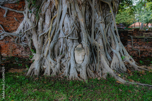 Obraz na plátne Ayutthaya, Thailand