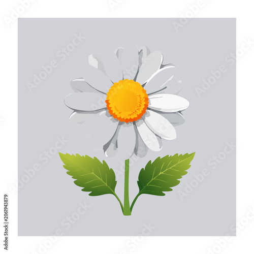 Sunflower with green leaves isolated