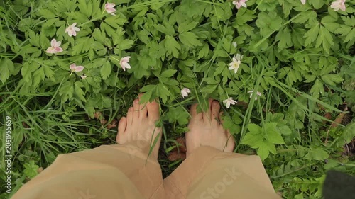 Top view of bare feet standing on green grass mixed with brown dry leaves. Khaki pants hem visible. Grounding, nature connection, freedom, calm, outdoor mindfulness. High quality FullHD footage