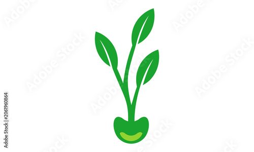 plant seed logo concept