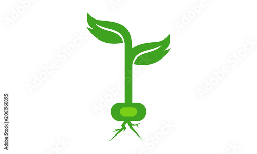 seed plant icon logo design