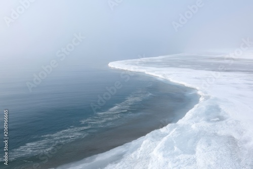 Frost Covered Trees in White Fog

