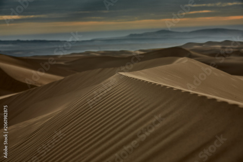Obraz na plátně Before the world fully wakes, the desert speaks in its quietest and most eloquent voice