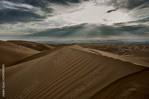 Foto Before the world fully wakes, the desert speaks in its quietest and most eloquent voice