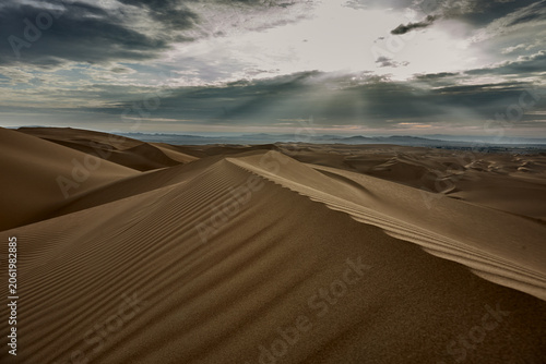 Photos Before the world fully wakes, the desert speaks in its quietest and most eloquent voice