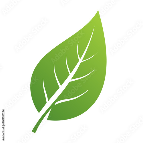 Green flat design leaf icon