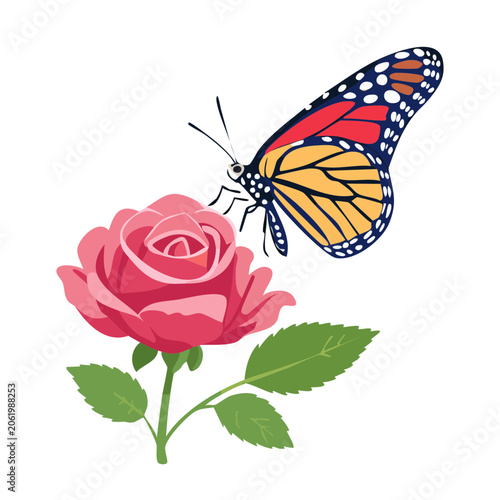 Monarch Butterfly on Pink Rose Illustration
