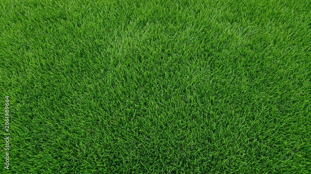 Fototapeta premium Perfect Green grass texture background. A perfectly manicured Sports field Pitch Garden Lawn wallpaper.